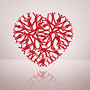 Snacking Depresses Your Immune System