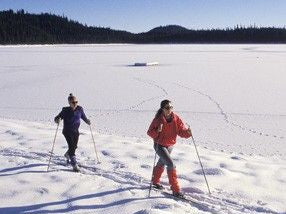 Auto Pollution Increases the Rate of Hardening of the Arteries