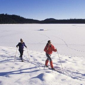 Auto Pollution Increases the Rate of Hardening of the Arteries