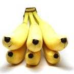 Dietary Weight Loss Reverses Atherosclerosis