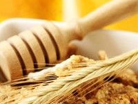 A Fat Stomach Sets the Stage for Cognitive Decline