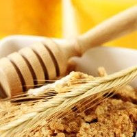 A Fat Stomach Sets the Stage for Cognitive Decline