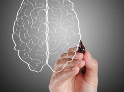 Youthful Obesity Causes Death Eight Years Early