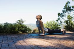 High-Fat Diet May Adversely Alter Your Brain Structure