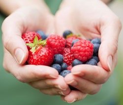 Muscle Fatigue is a Superior Way to Build Muscle with Exercise