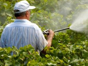 Inflammation in Young Men Linked to Low Intelligence and Risk of Early Death