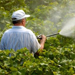 Inflammation in Young Men Linked to Low Intelligence and Risk of Early Death