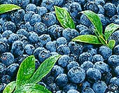 Blueberries May Help Weight Management