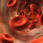 Aerobics Stimulates New Blood Cell Formation