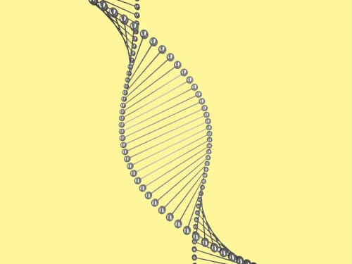 Nutrition Makes Anti-Aging Possible: Secrets of Your Telomeres