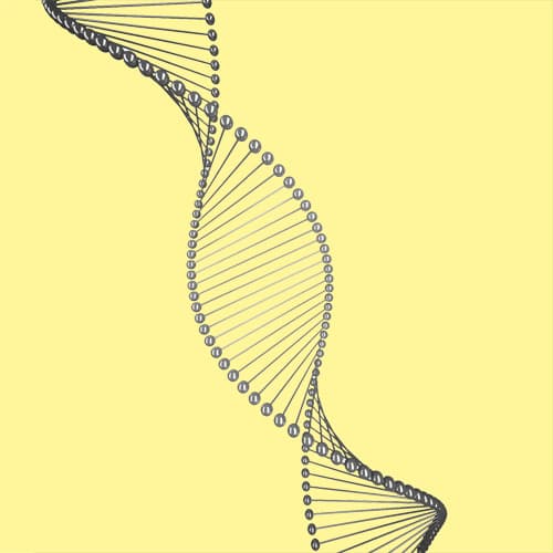 Nutrition Makes Anti-Aging Possible: Secrets of Your Telomeres