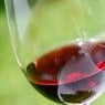 Red Wine Polyphenols Improve Lipids & Friendly Flora