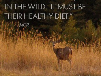 A Minute with Mary: Mothers make a difference in Children’s Behavior