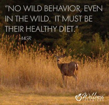 A Minute with Mary: Mothers make a difference in Children’s Behavior