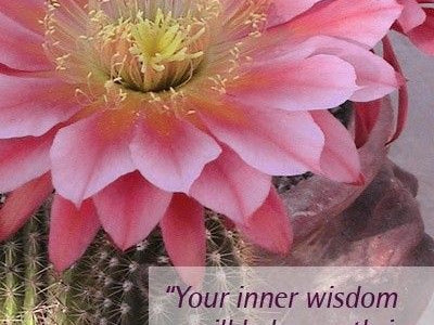 A Minute with Mary: Dedicate Yourself to Your Inner Wisdom