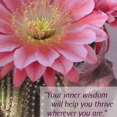 A Minute with Mary: Dedicate Yourself to Your Inner Wisdom