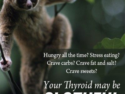 Is your thyroid slothful?