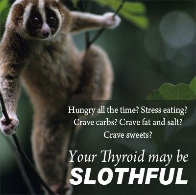 Is your thyroid slothful?