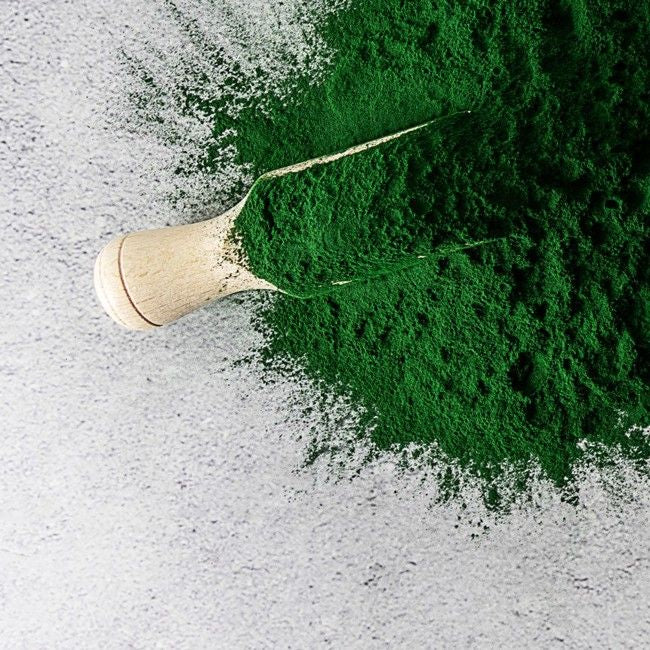 Chlorella Prevents Immune Suppression from Stress & Exercise