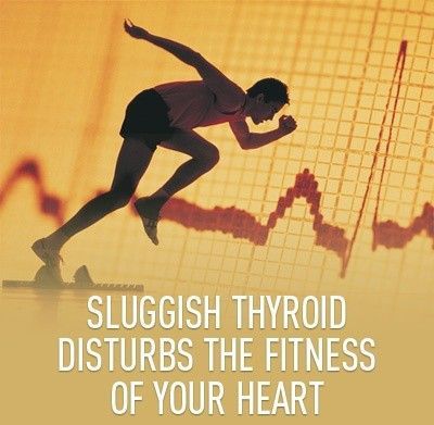 Sluggish Thyroid Disturbs Heart Function