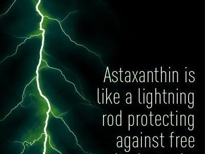Astaxanthin – A Premium Cell Defense Nutrient