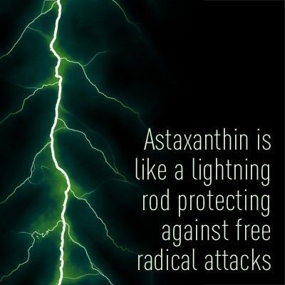 Astaxanthin – A Premium Cell Defense Nutrient