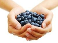 Blueberries Help Boost Cardio Fitness