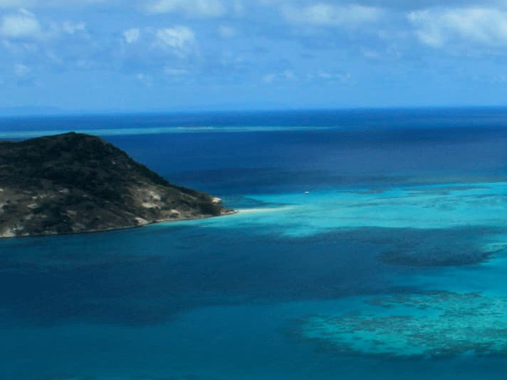 The Unique Properties of Coral Calcium