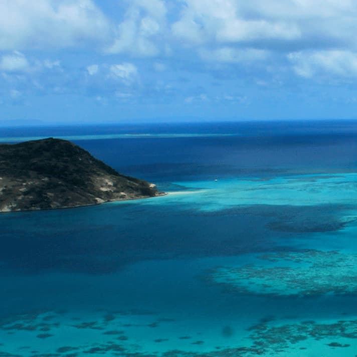 The Unique Properties of Coral Calcium