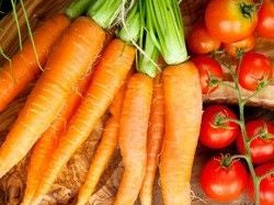 Carotenes Associated with Better Cognitive Performance During Aging