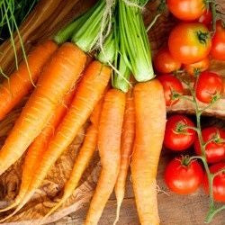 Carotenes Associated with Better Cognitive Performance During Aging