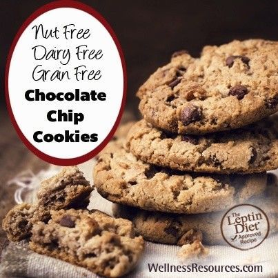 Nut Free, Dairy Free, Grain Free Chocolate Chip Cookies