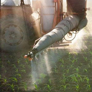 Gluten Intolerance, Gut Problems Linked with Roundup Toxicity