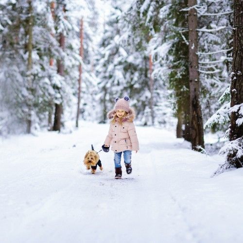 Squalene: The Ideal Wintertime Supplement