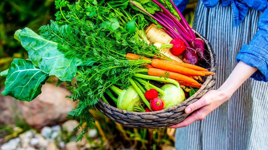 How Stress, Diet, and Medications Disrupt Your Gut Health