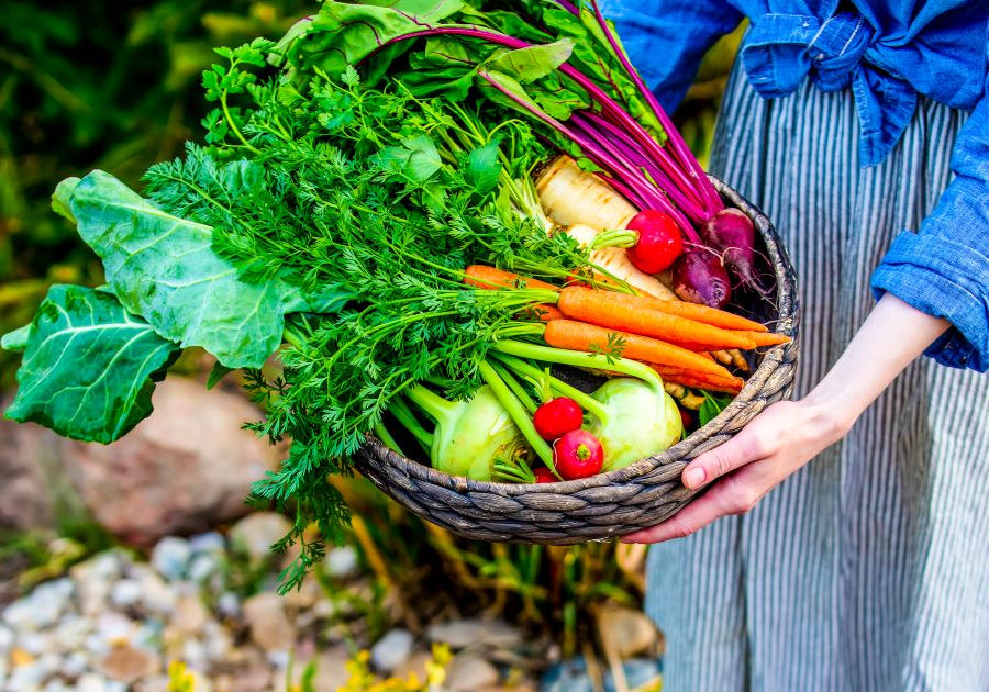 How Stress, Diet, and Medications Disrupt Your Gut Health