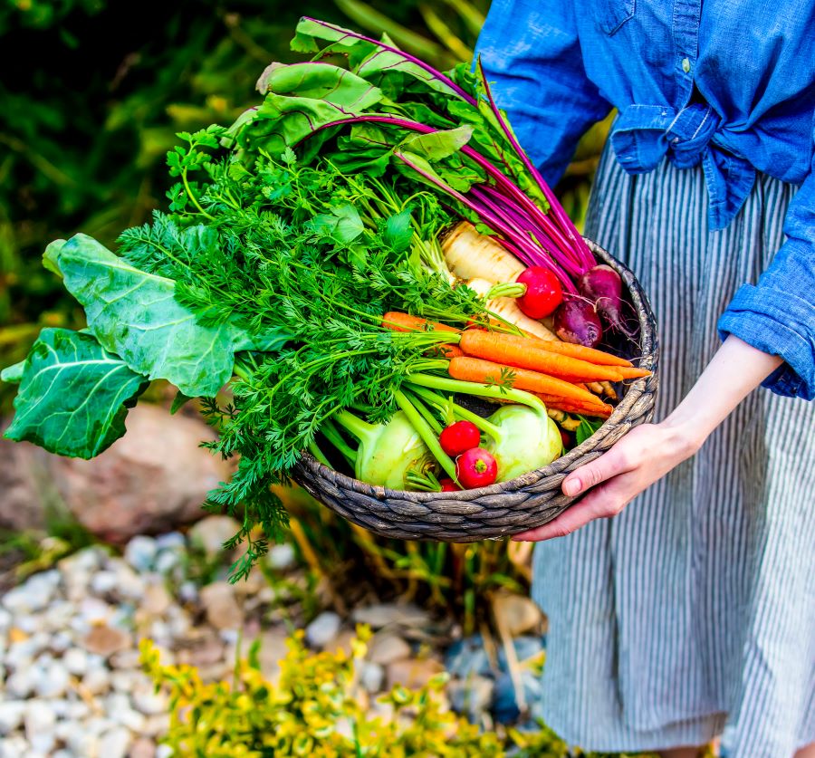 How Stress, Diet, and Medications Disrupt Your Gut Health