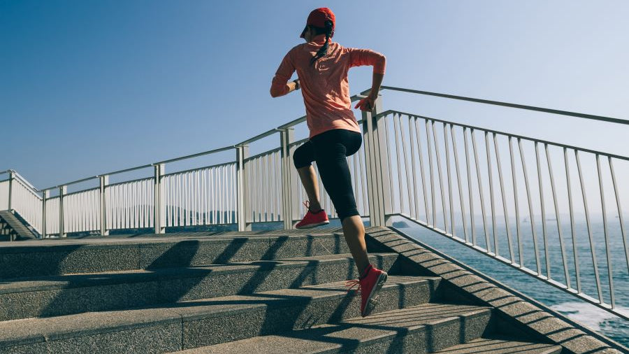 Q10: Critical Nutrient for Mitochondria and Organs