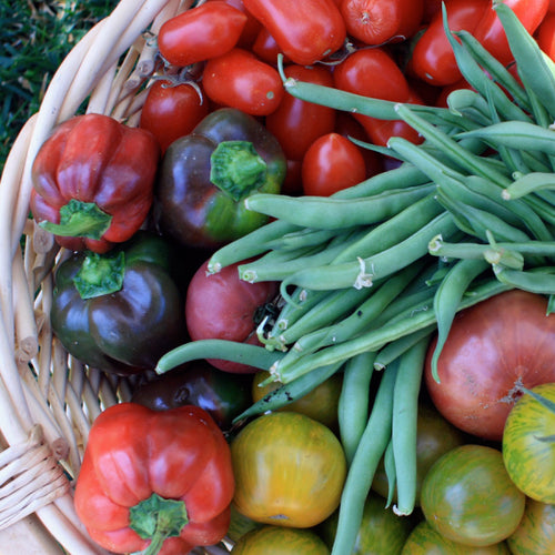 Antioxidants