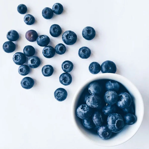 Brain, Memory & Focus Supplements