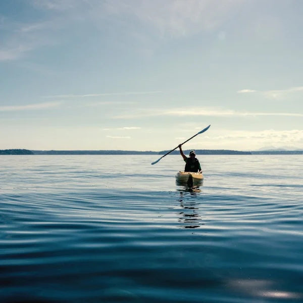 Fish Oil and Blood Pressure