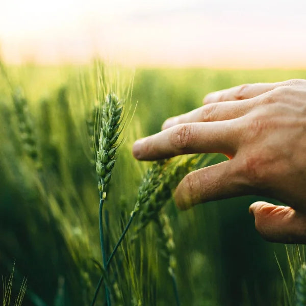 Fluid Retention, Lymph and Vascular Changes