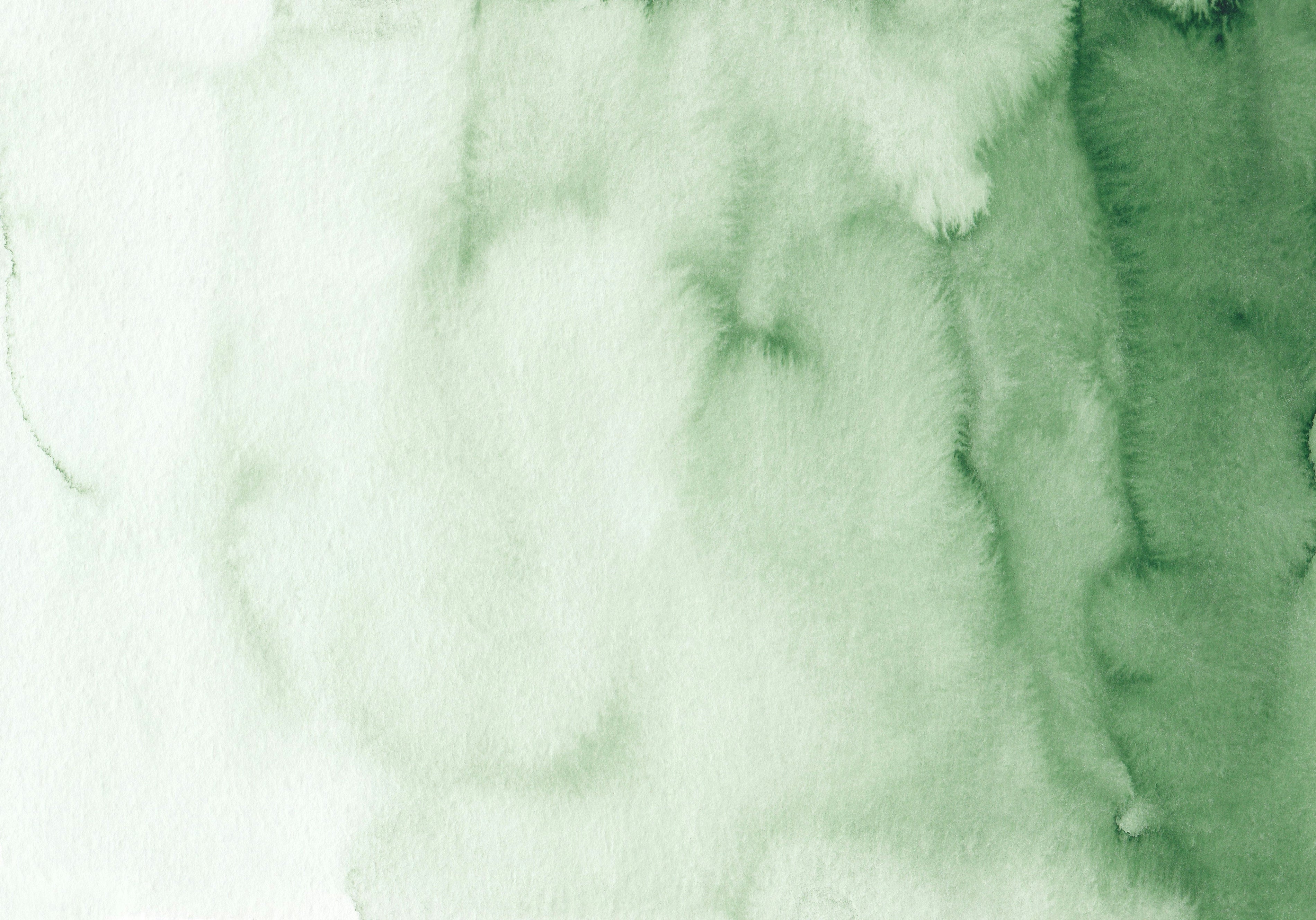 Autophagy Supplements