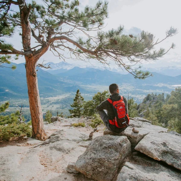 Niacin & Cardiovascular Support