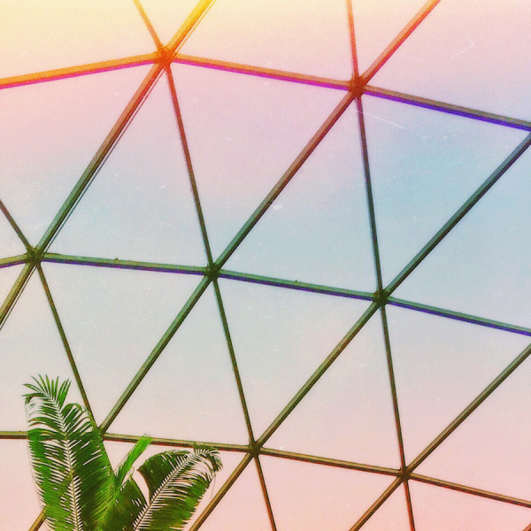 Sirtuins & Longevity