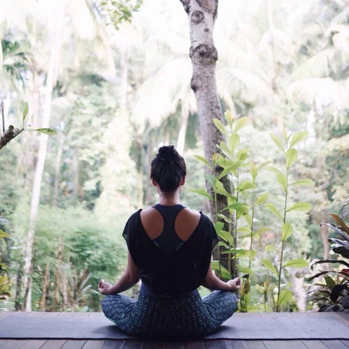 Stress Controlled by Leptin