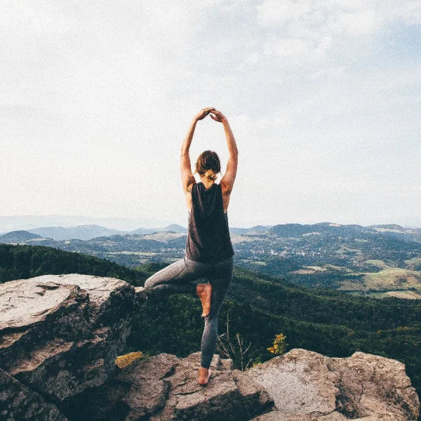 The Innate Need for Stability