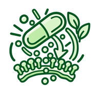 20x Quercetin Absorption
