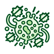 Dual Flavonoid Support